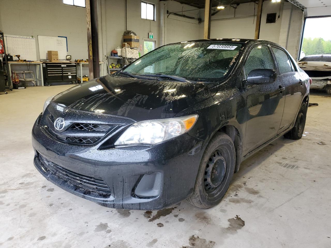 TOYOTA COROLLA BASE