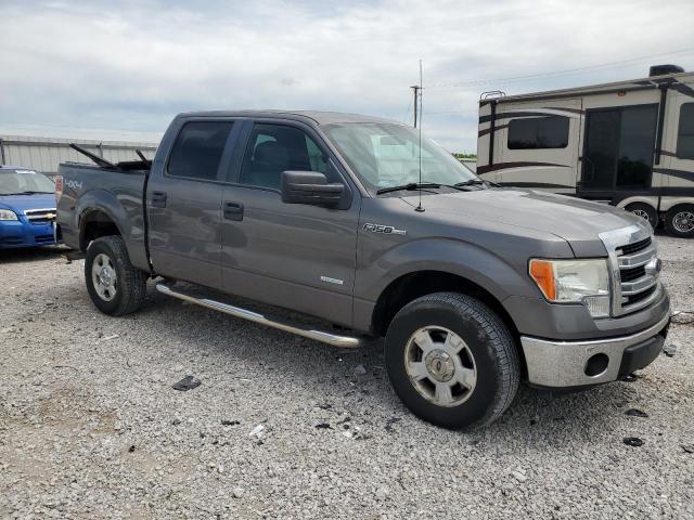 Vin: 1ftfw1et4dkf81269, lot: 55813125, ford f-150 supercrew 20134