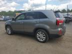 Lot #3304480438 2014 KIA SORENTO EX