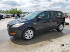 2015 FORD ESCAPE S - 1FMCU0F79FUA35316