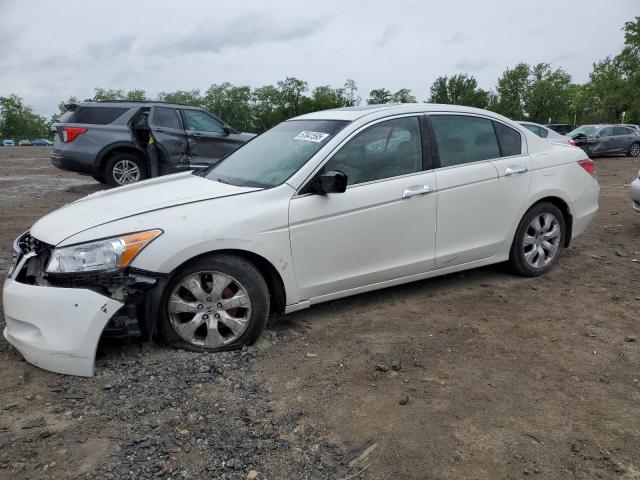 Vin: 1hgcp3f8xaa011642, lot: 57641595, honda accord exl 2010 img_1