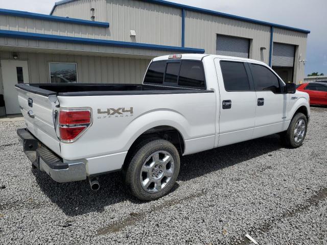 Vin: 1ftfw1et0dfa36503, lot: 55556175, ford f-150 supercrew 20133