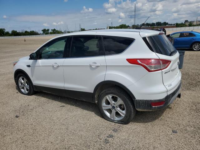 Vin: 1fmcu9g96dud66971, lot: 58507505, ford escape se 20132