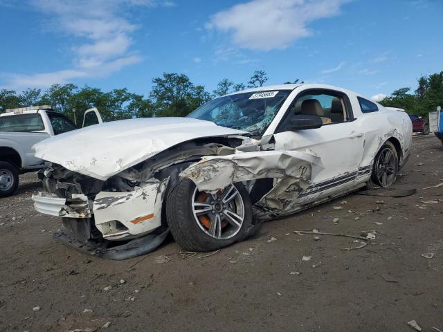 2011 FORD MUSTANG - 1ZVBP8AM9B5130219