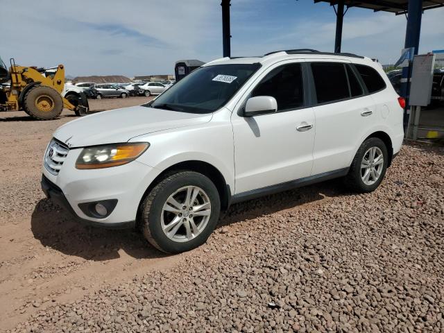 Vin: 5xyzkdagxbg036344, lot: 55765365, hyundai santa fe limited 2011 img_1