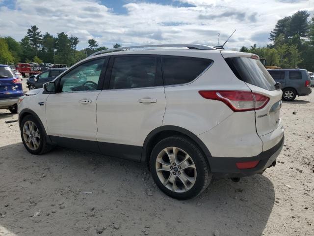 2014 FORD ESCAPE TIT - 1FMCU0J98EUA39817
