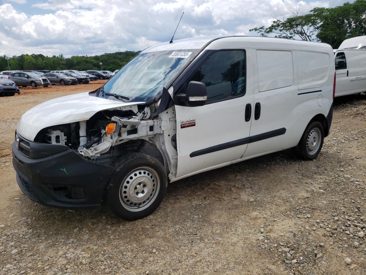 RAM PROMASTER