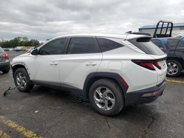 Vin: 5nmjacae7ph248186, lot: 58131345, hyundai tucson se 20232