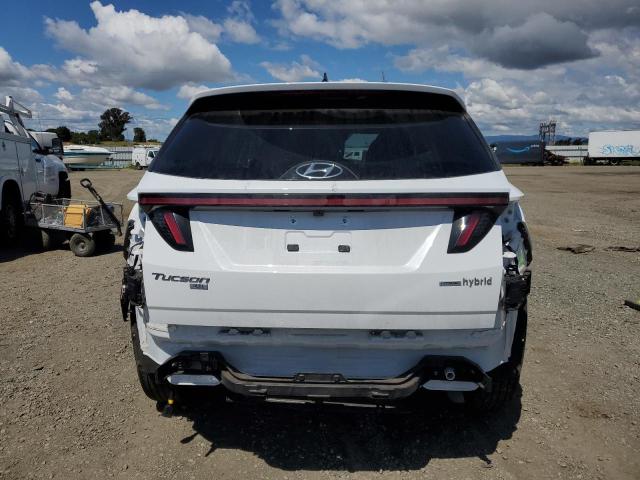 2023 HYUNDAI TUCSON BLU KM8JBCA19PU100684