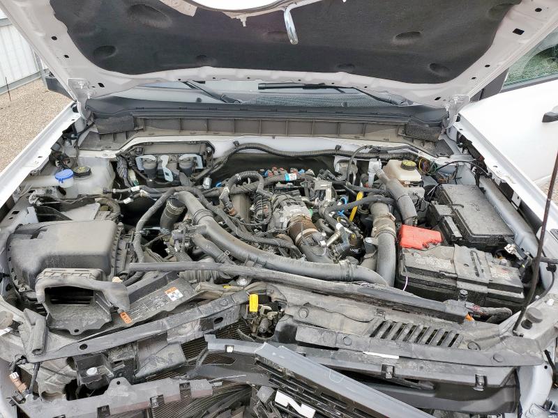 2024 FORD BRONCO WIL 1FMEE2BP4RLA19493