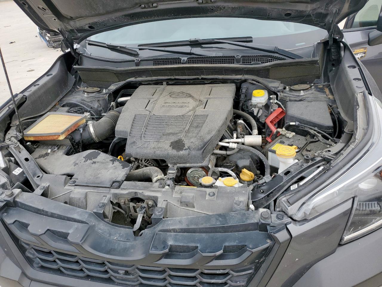 SUBARU FORESTER WILDERNESS