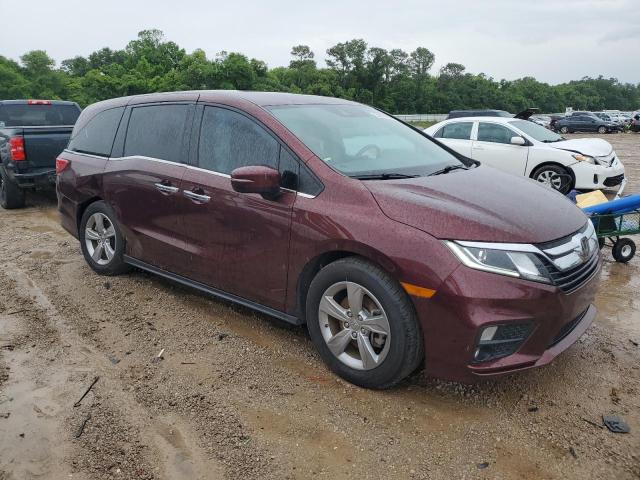 Vin: 5fnrl6h74lb024326, lot: 54557265, honda all models exl 20204