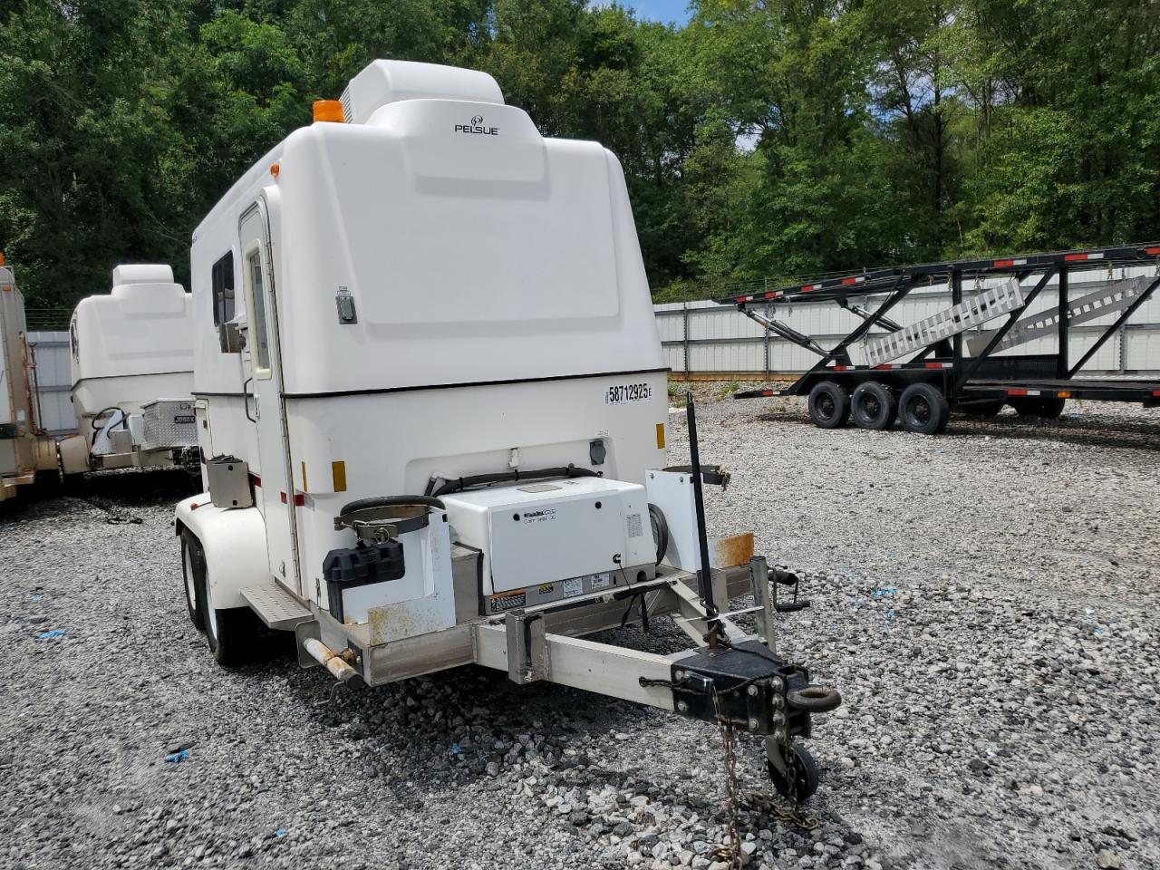  Salvage Pelsue Other