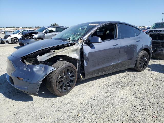 Vin: 5yjygdee2mf296446, lot: 56172985, tesla model y 2021 img_1