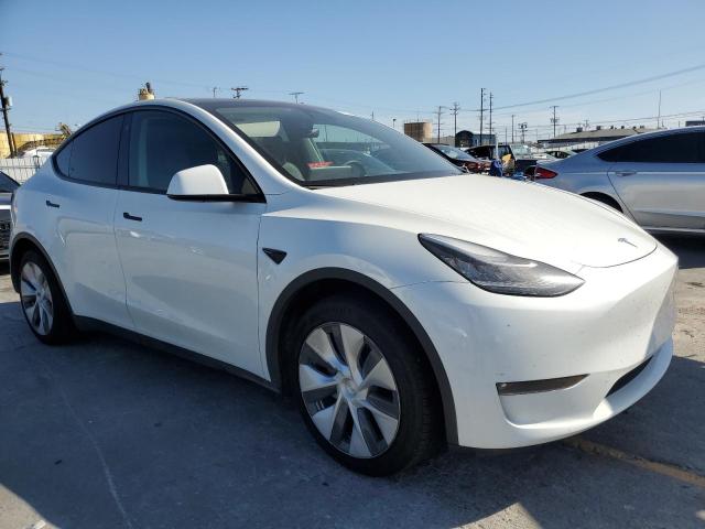 2023 TESLA MODEL Y 7SAYGAEE1PF602185
