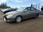 Top Destinations for Shipping Cars from the USA