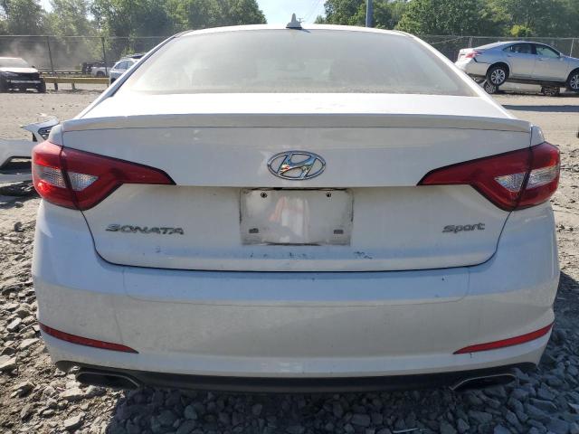 2017 HYUNDAI SONATA SPO 5NPE34AF8HH536149