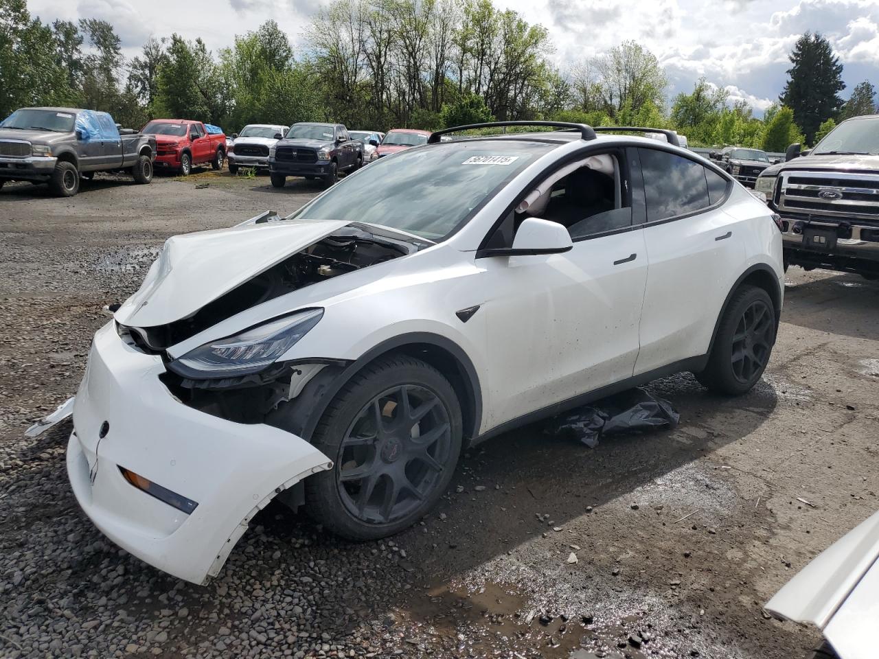 TESLA MODEL Y