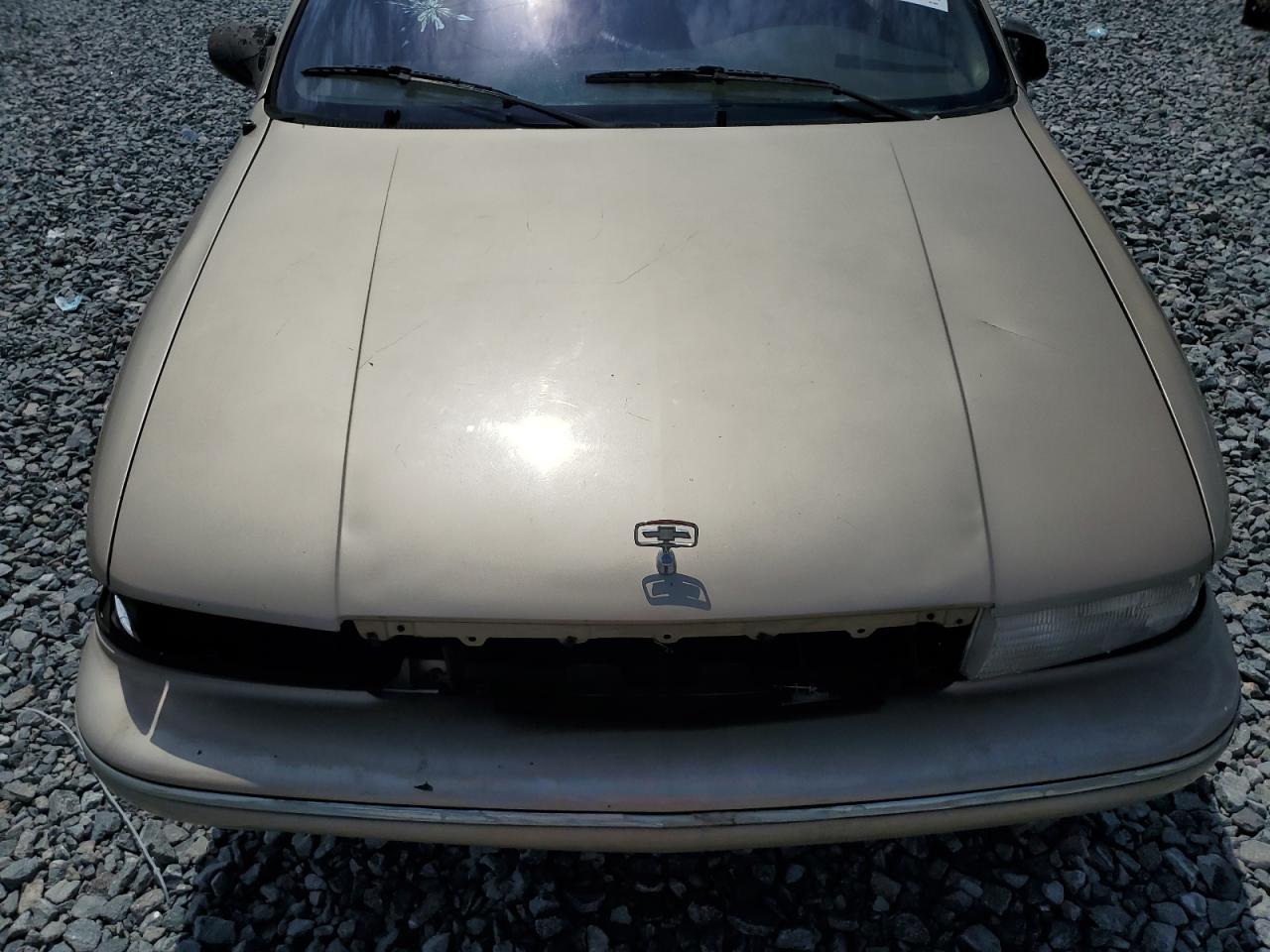 Lot #3257219763 1996 CHEVROLET CAPRICE /