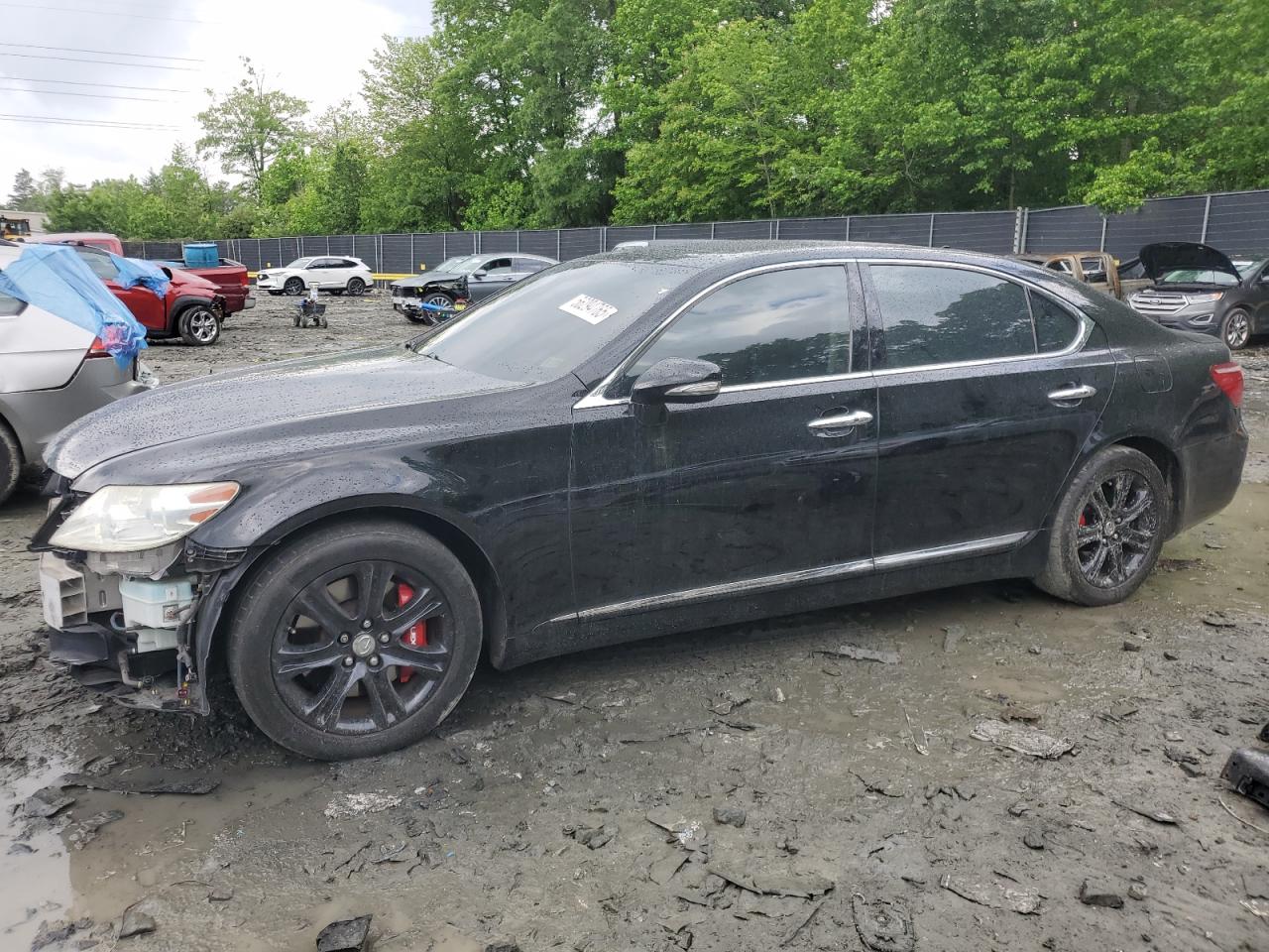 LEXUS LS 460 460L