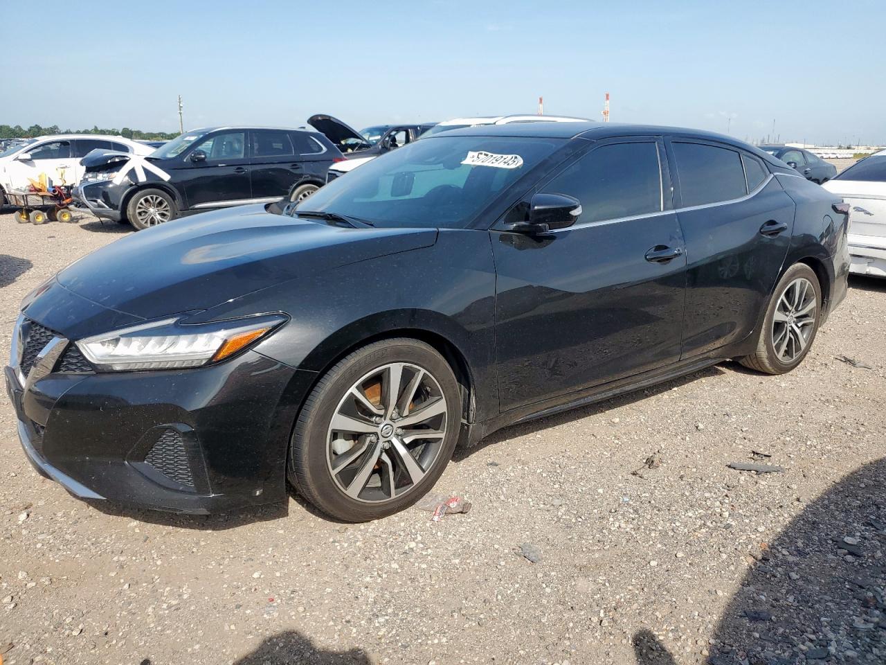 NISSAN MAXIMA SV