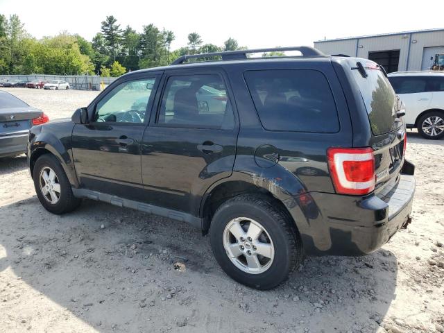 2011 FORD ESCAPE XLT - 1FMCU9DGXBKA90337