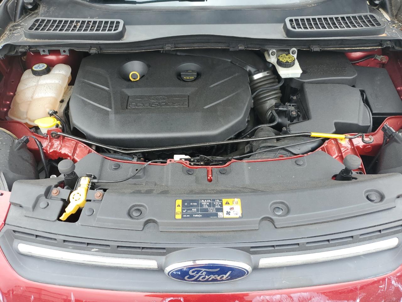Ford Escape se 2013