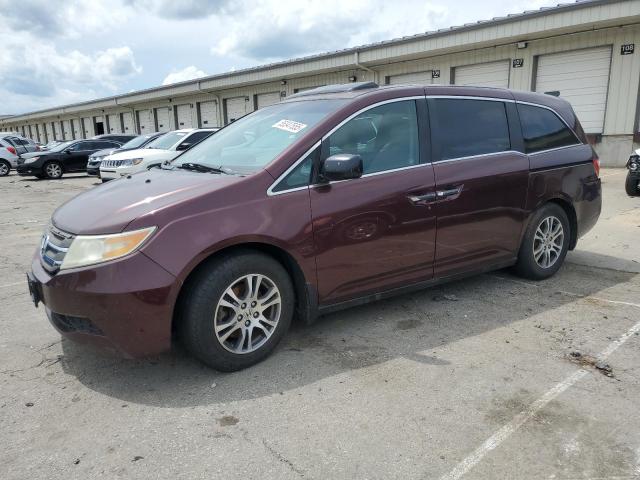 Vin: 5fnrl5h65cb116370, lot: 55347555, honda all models exl 2012 img_1