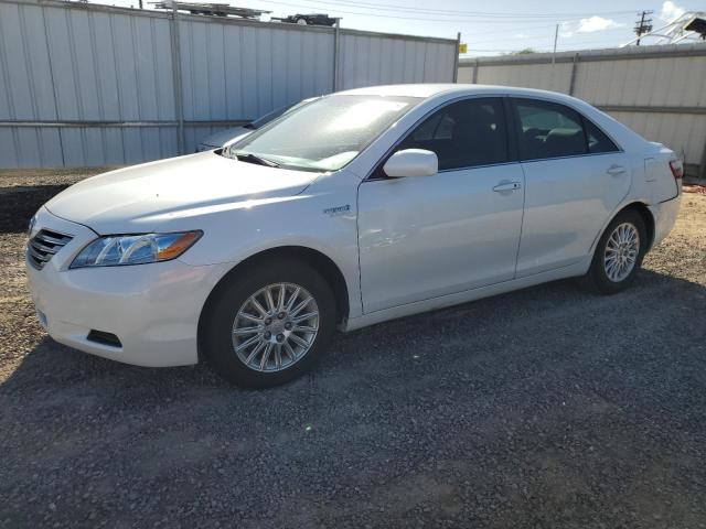 TOYOTA CAMRY HYBR
