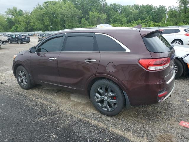 Vin: 5xypk4a50gg119438, lot: 56512505, kia sorento sx 20162