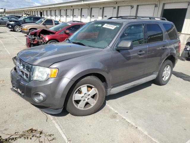 Vin: 1fmcu9dg8bkb02212, lot: 58200445, ford escape xlt 2011 img_1