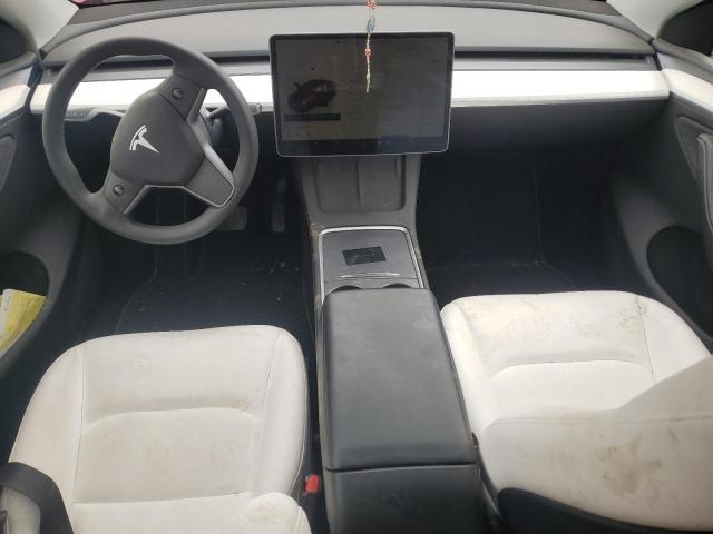 2023 TESLA MODEL Y 7SAYGDEEXPA158822