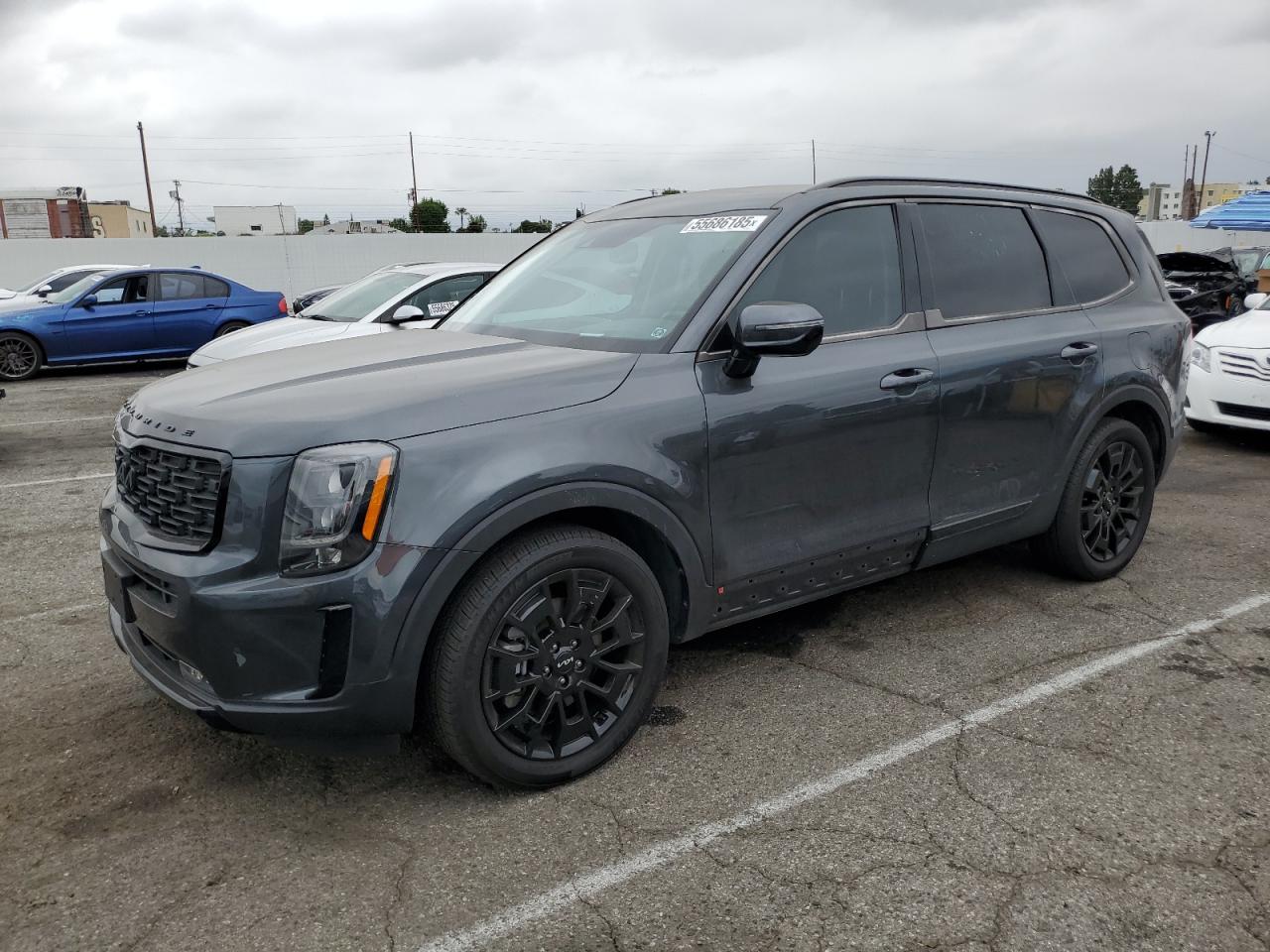 KIA TELLURIDE SX