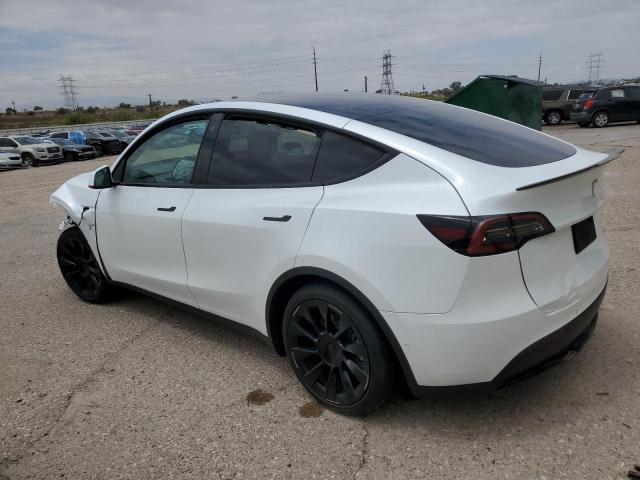 2022 TESLA MODEL Y 7SAYGDEE8NA010519