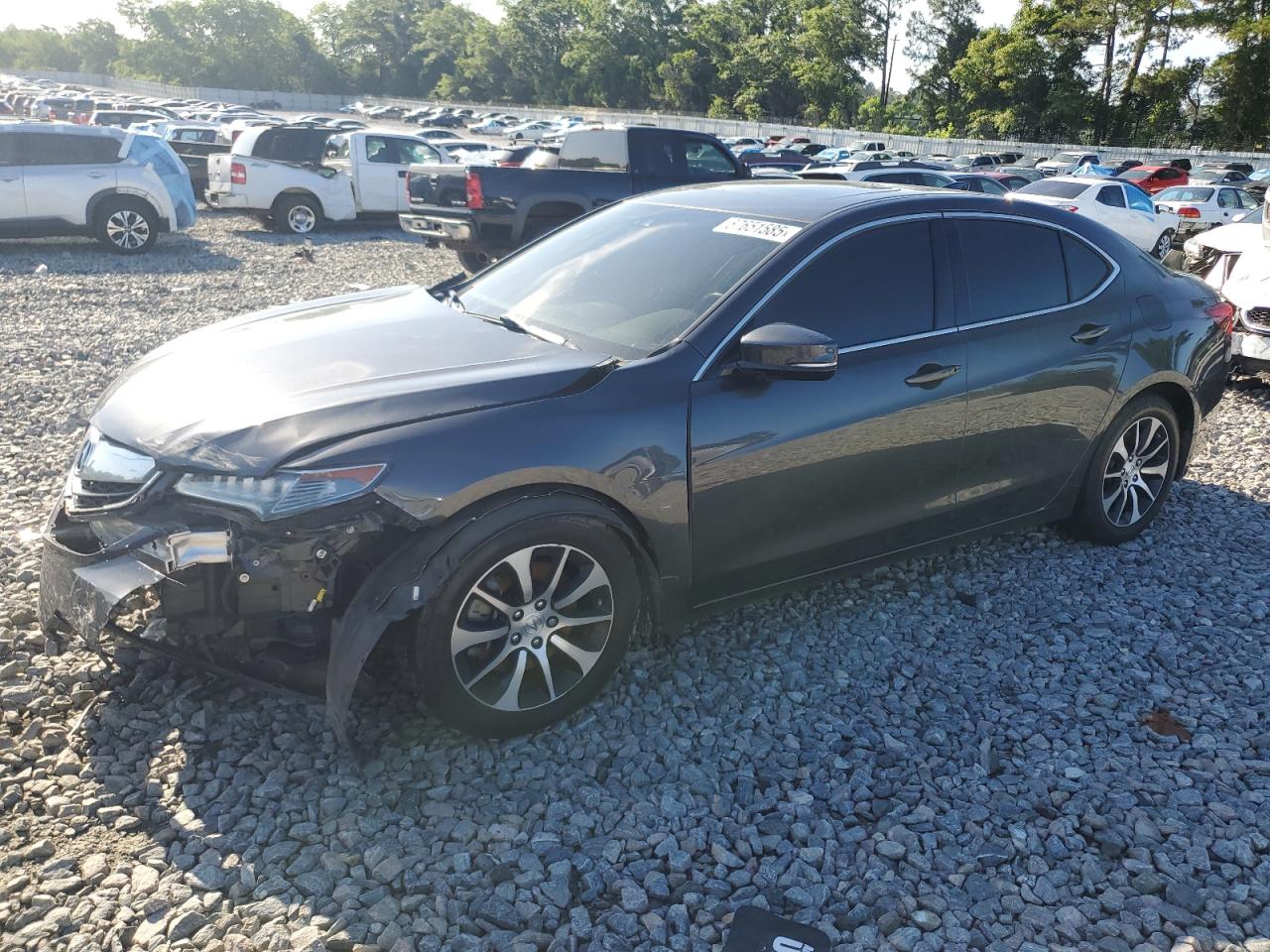 ACURA TLX TECH