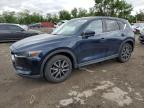 Top Destinations for Shipping Cars from the USA