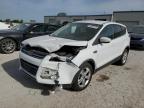 Lot #3303073759 2014 FORD ESCAPE SE