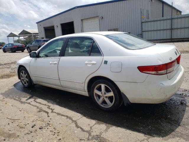 2003 HONDA ACCORD EX #3300576919