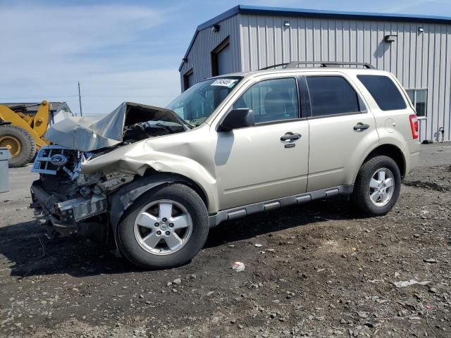 Vin: 1fmcu9dg2bkb14629, lot: 57845465, ford escape xlt 2011 img_1