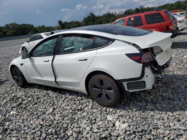 2023 TESLA MODEL 3 - 5YJ3E1EA5PF544141
