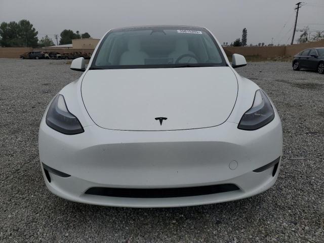 2023 TESLA MODEL Y - 7SAYGDEF7PF632513