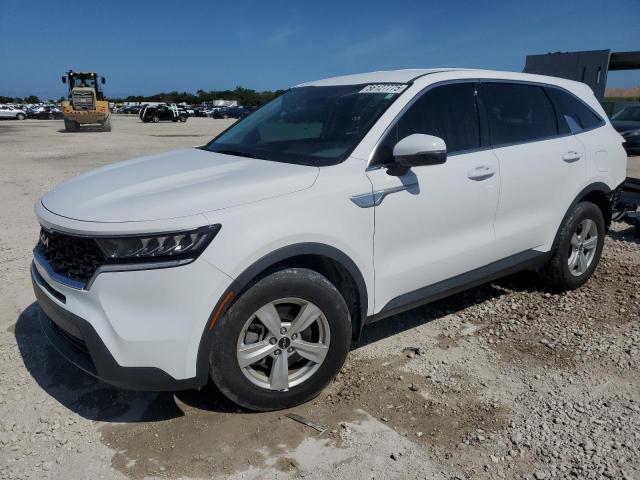 Vin: 5xyrg4lc9pg177103, lot: 56127775, kia sorento lx 2023 img_1