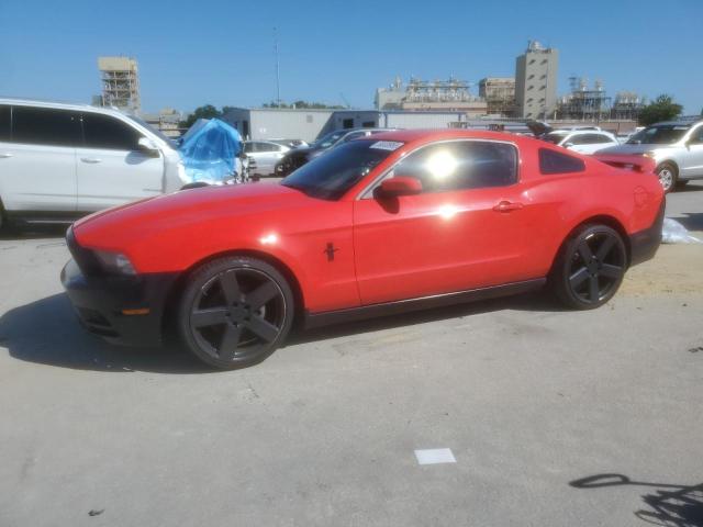 Vin: 1zvbp8amxd5206405, lot: 56538955, ford all models 2013 img_1