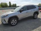 2025 TOYOTA RAV4 LE - 2T3LWRFV2SW268159