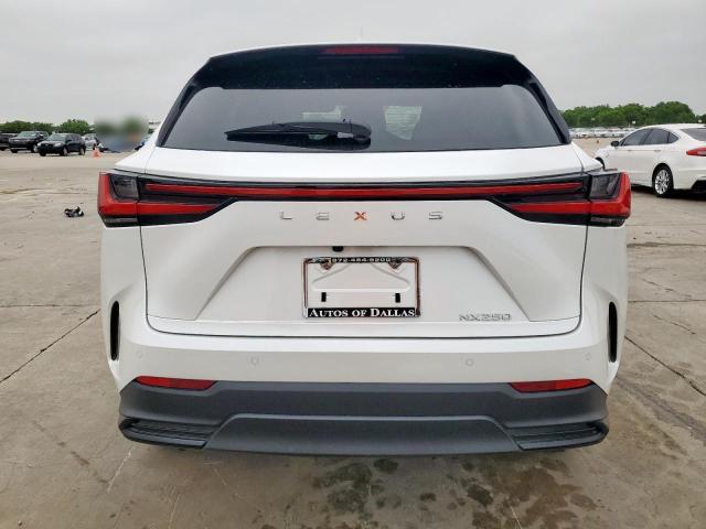 2024 LEXUS NX 250 PRE JTJGDCAZ1R5015072