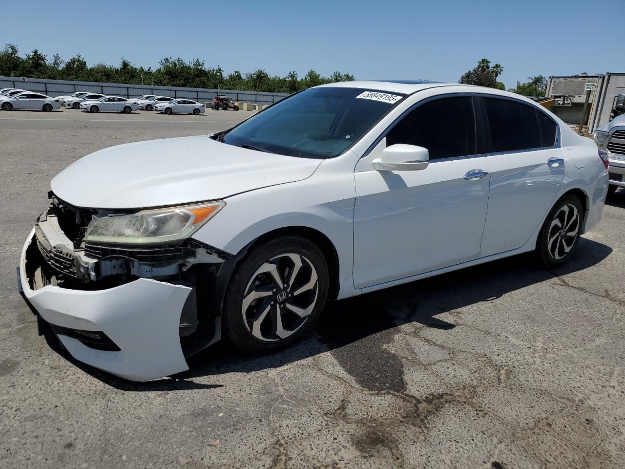 HONDA ACCORD EX