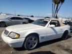 Top Destinations for Shipping Cars from the USA