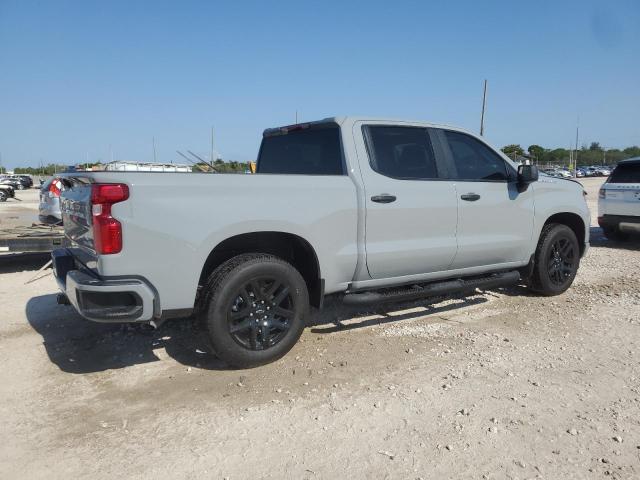 Vin: 1gcpabek0sz177972, lot: 57113845, chevrolet all models c1500 custom 20253