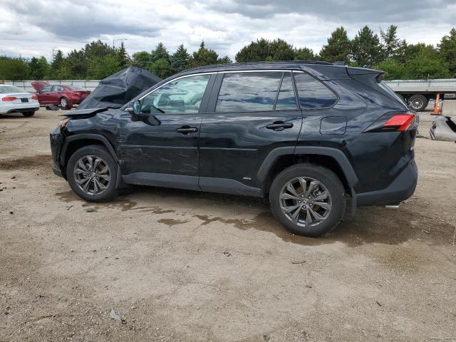 Vin: 4t3b6rfv8ru162398, lot: 57459395, toyota rav4 xle premium 20242