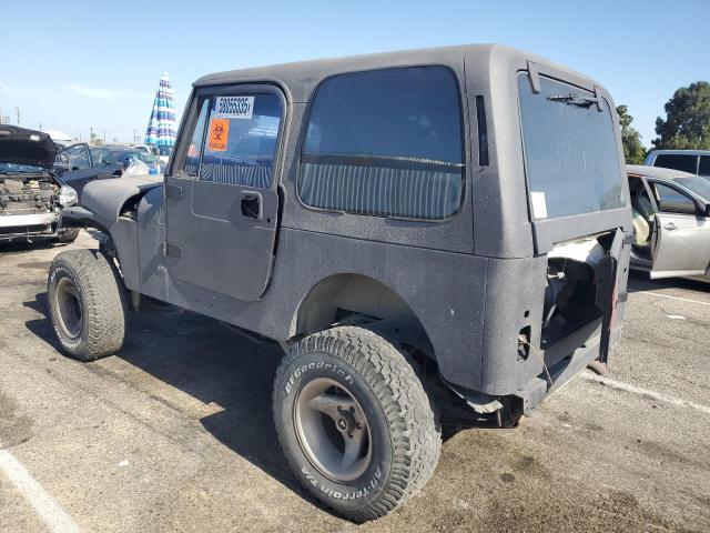 Vin: 1j4fy29s4pp232079, lot: 58055335, jeep wrangler 19932